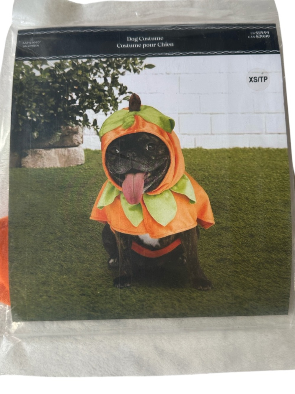 Ashland Halloween Pumpkin Dog Costume